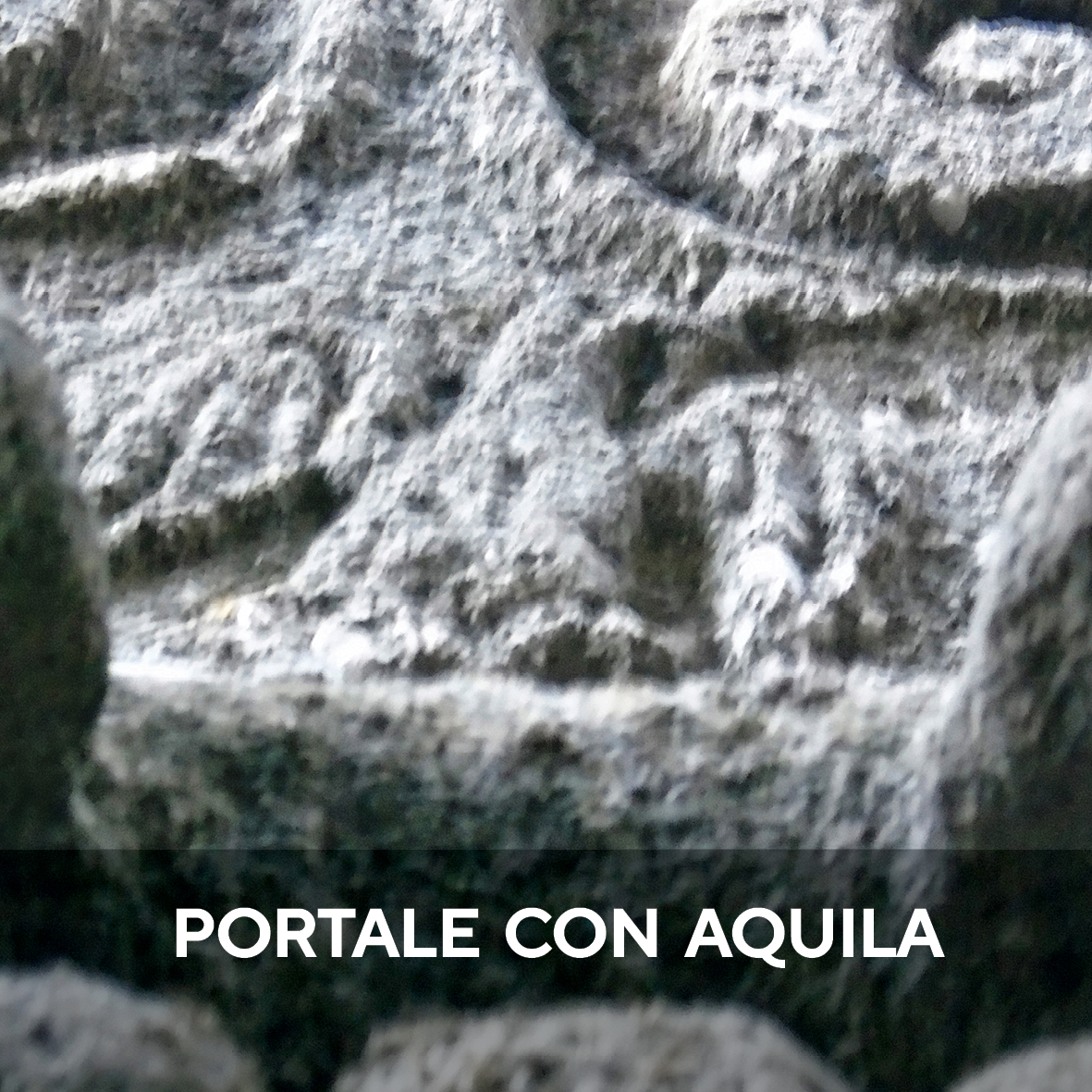 portale con aquila patrica frosinone