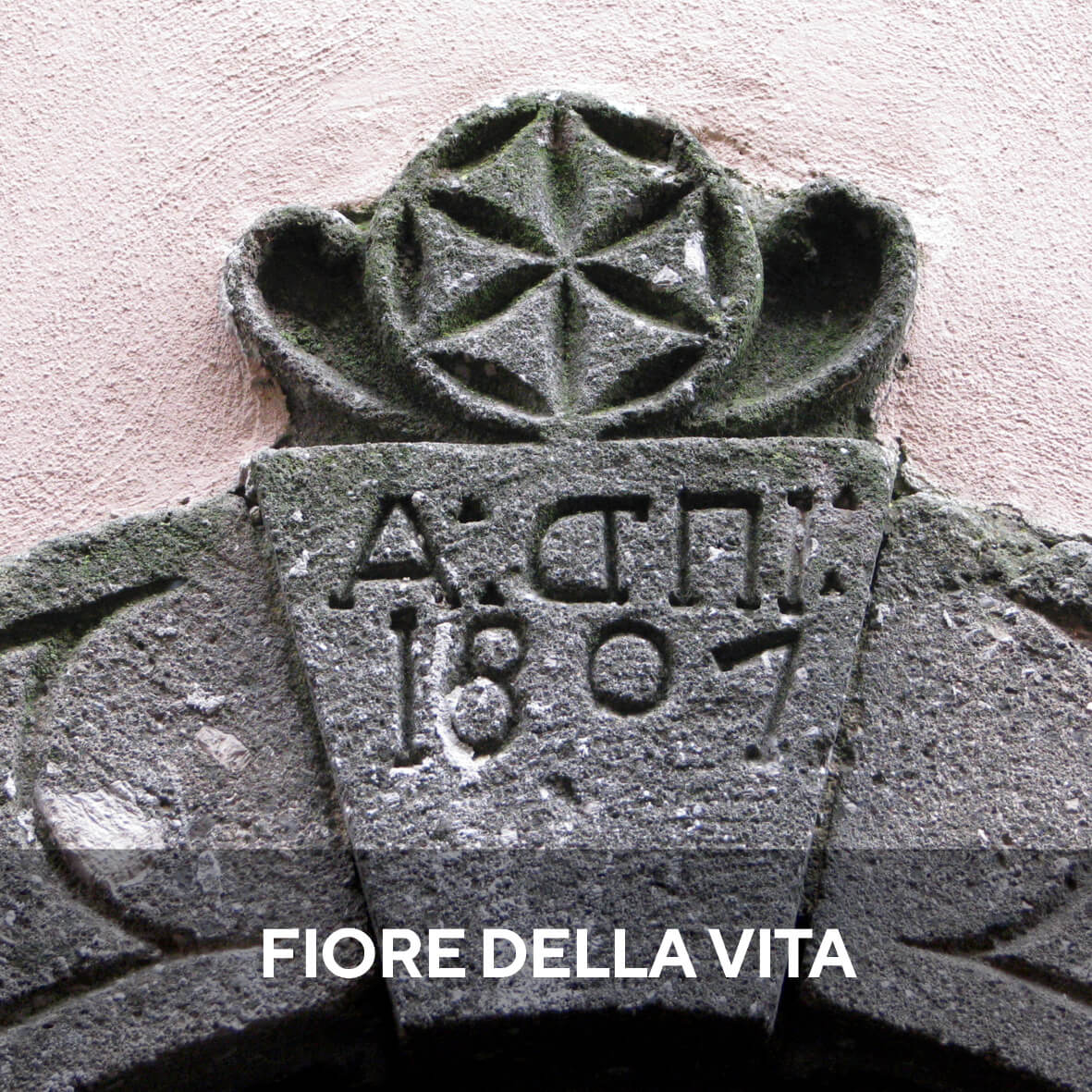 portale con fiore della vita patrica frosinone