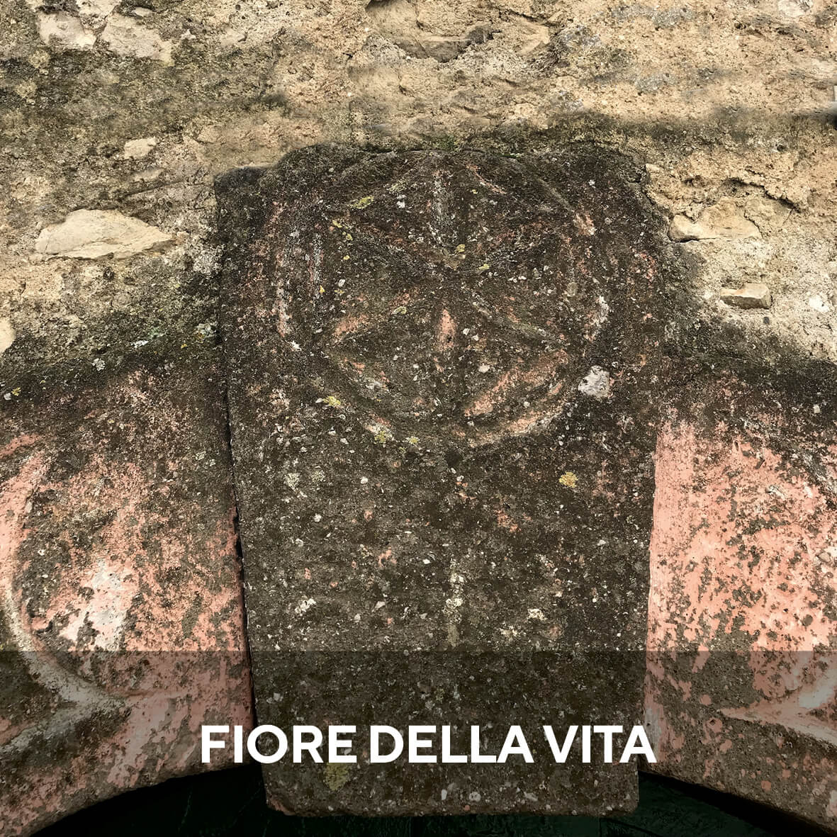 portale con fiore della vita patrica frosinone